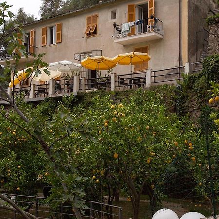 La Casa Dei Limoni Hotel Monterosso al Mare Exterior foto