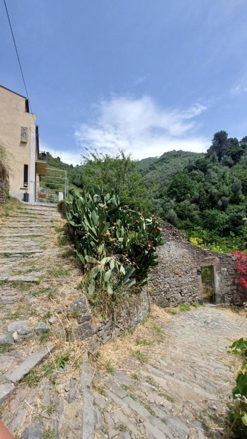 La Casa Dei Limoni Hotel Monterosso al Mare Exterior foto